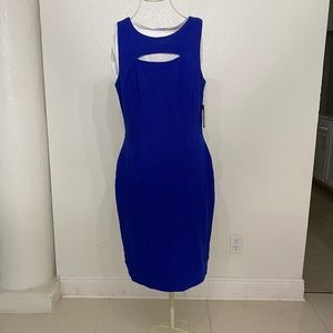 Vince Camuto Women's Royal  Blue Dress Sz 8 -0054